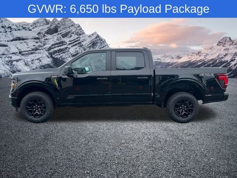 New 2025 Ford F150 STX image 6