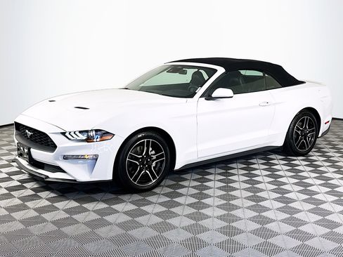 Used 2023 Ford Mustang Premium image 4