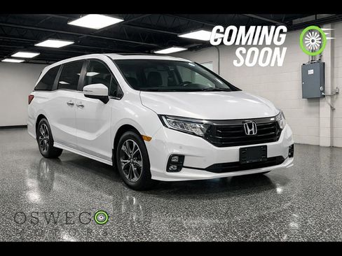 Used 2024 Honda Odyssey Elite image 1