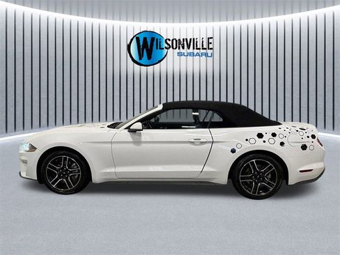 Used 2022 Ford Mustang Premium image 10