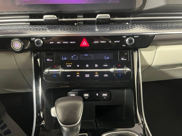 Used 2024 Kia Carnival SX Prestige FWD image 31