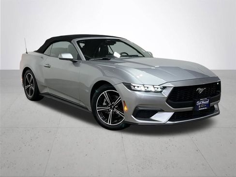 Used 2024 Ford Mustang Premium image 6