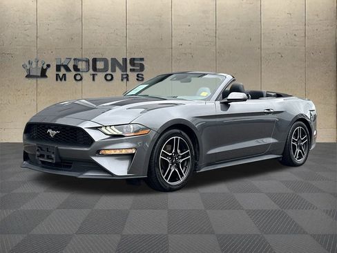 Used 2023 Ford Mustang Premium image 1