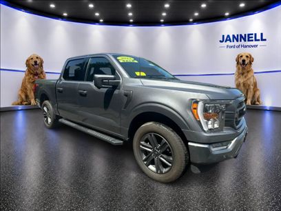Used 2023 Ford F150 XLT w/ Equipment Group 302A High