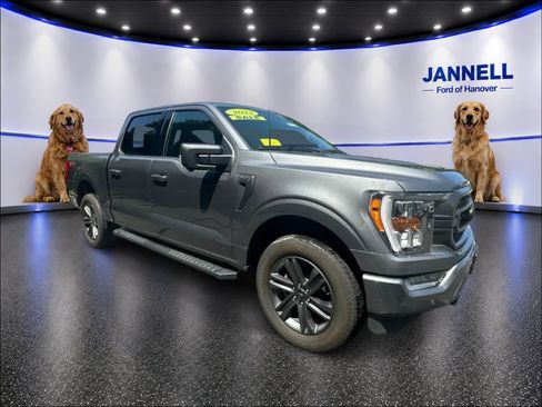 Used 2023 Ford F150 XLT w/ Equipment Group 302A High AWD/4WD image 3