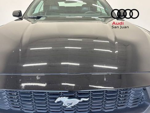 Used 2025 Ford Mustang Premium RWD image 4