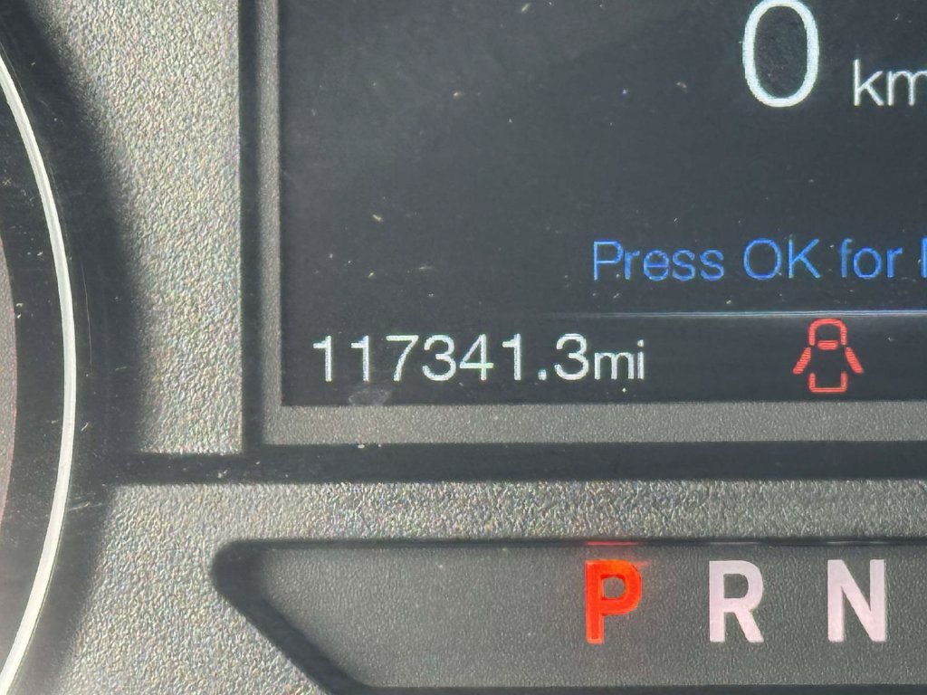 Used 2019 Ford F150 XLT w/ Equipment Group 302A Luxury AWD/4WD image 25