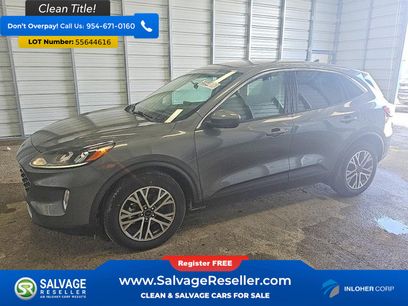 Used 2022 Ford Escape SEL