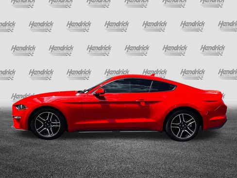 Used 2023 Ford Mustang Premium RWD image 7