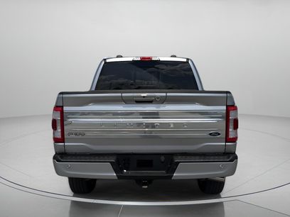 Used 2023 Ford F150 Limited