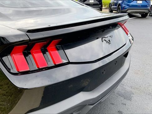 Used 2025 Ford Mustang Coupe w/ Mustang Nite Pony Package RWD image 4