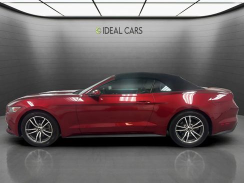 Used 2017 Ford Mustang Premium w/ Equipment Group 201A RWD image 8