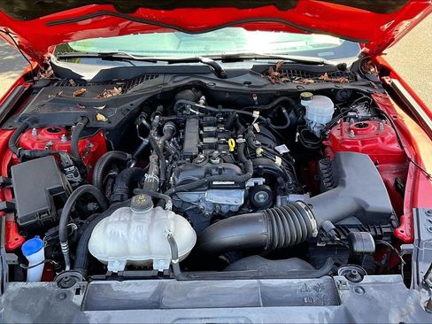 Used 2022 Ford Mustang Coupe w/ Equipment Group 101A RWD image 9