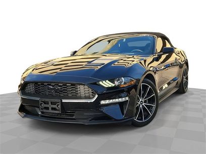 Used 2020 Ford Mustang Premium w/ Equipment Group 201A
