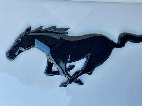 New 2026 Ford Mustang Coupe w/ Mustang Nite Pony Package RWD image 25