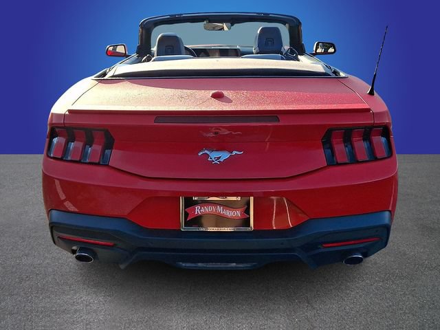 Used 2024 Ford Mustang Premium RWD image 5