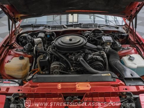 Used 1987 Pontiac Firebird Coupe image 3