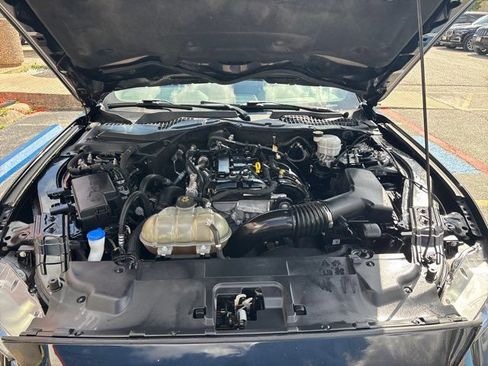 Used 2023 Ford Mustang Coupe w/ Equipment Group 101A RWD image 42