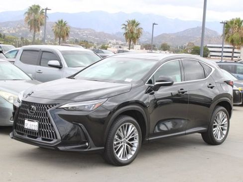 Certified 2025 Lexus NX 350h AWD w/ Cold Area Package image 3