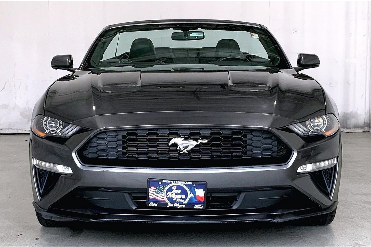 Used 2019 Ford Mustang Premium RWD image 2