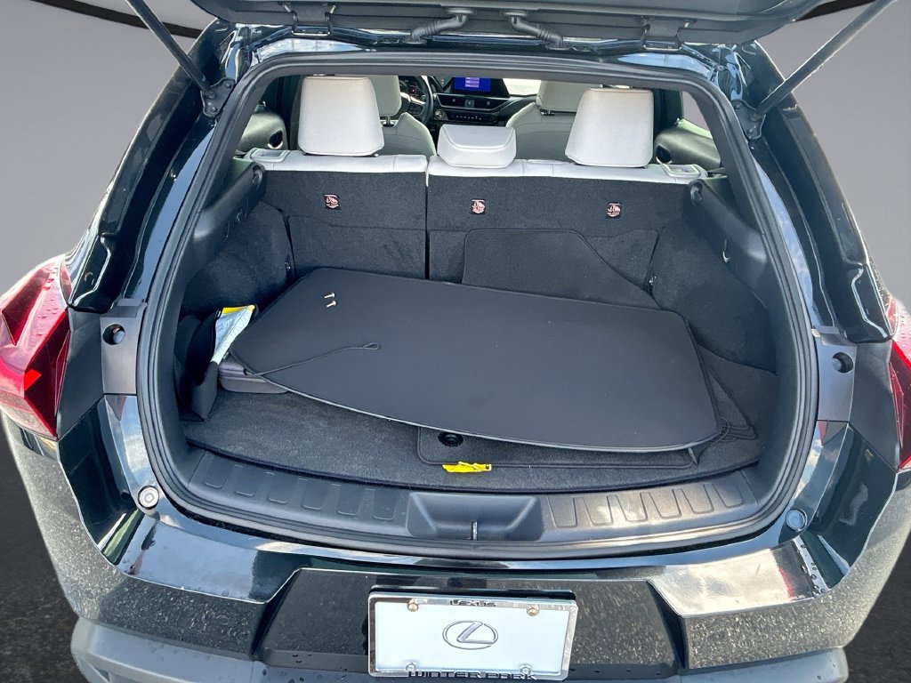 Used 2024 Lexus UX 250h FWD image 10