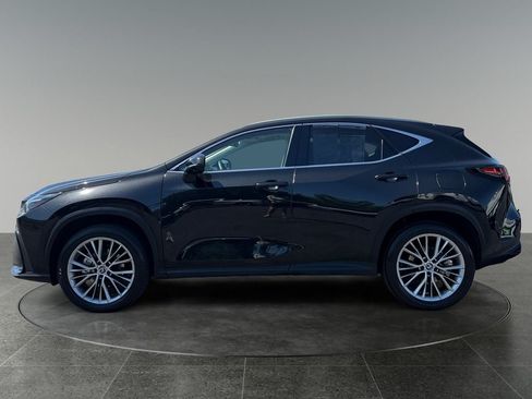 Used 2024 Lexus NX 350h AWD w/ Vision Package image 5