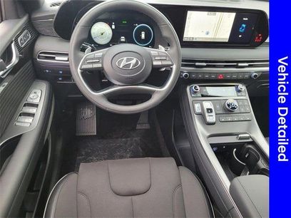 New 2025 Hyundai Palisade Calligraphy