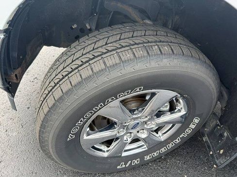 Used 2019 Ford F150 XLT w/ Equipment Group 302A Luxury AWD/4WD image 7