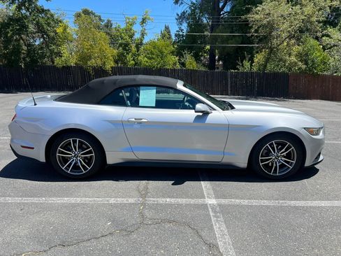 Used 2017 Ford Mustang Premium RWD image 4