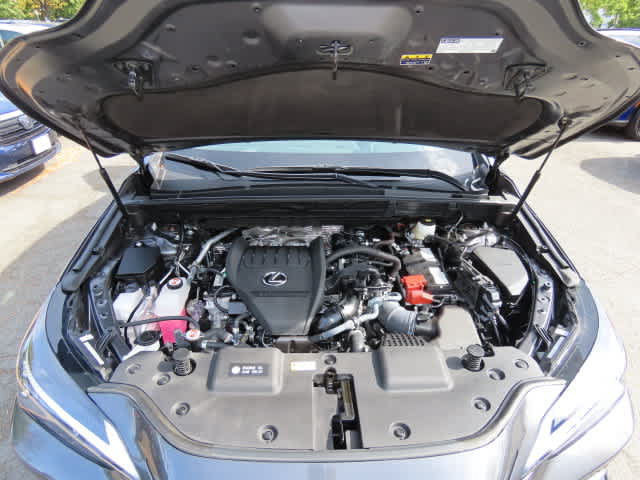 Used 2025 Lexus NX 350 AWD w/ Cold Area Package image 9