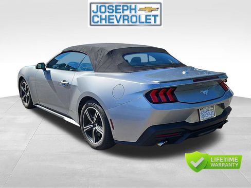 Used 2024 Ford Mustang Premium RWD image 3