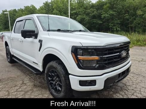 Used 2024 Ford F150 XLT w/ Equipment Group 302A MID AWD/4WD image 9