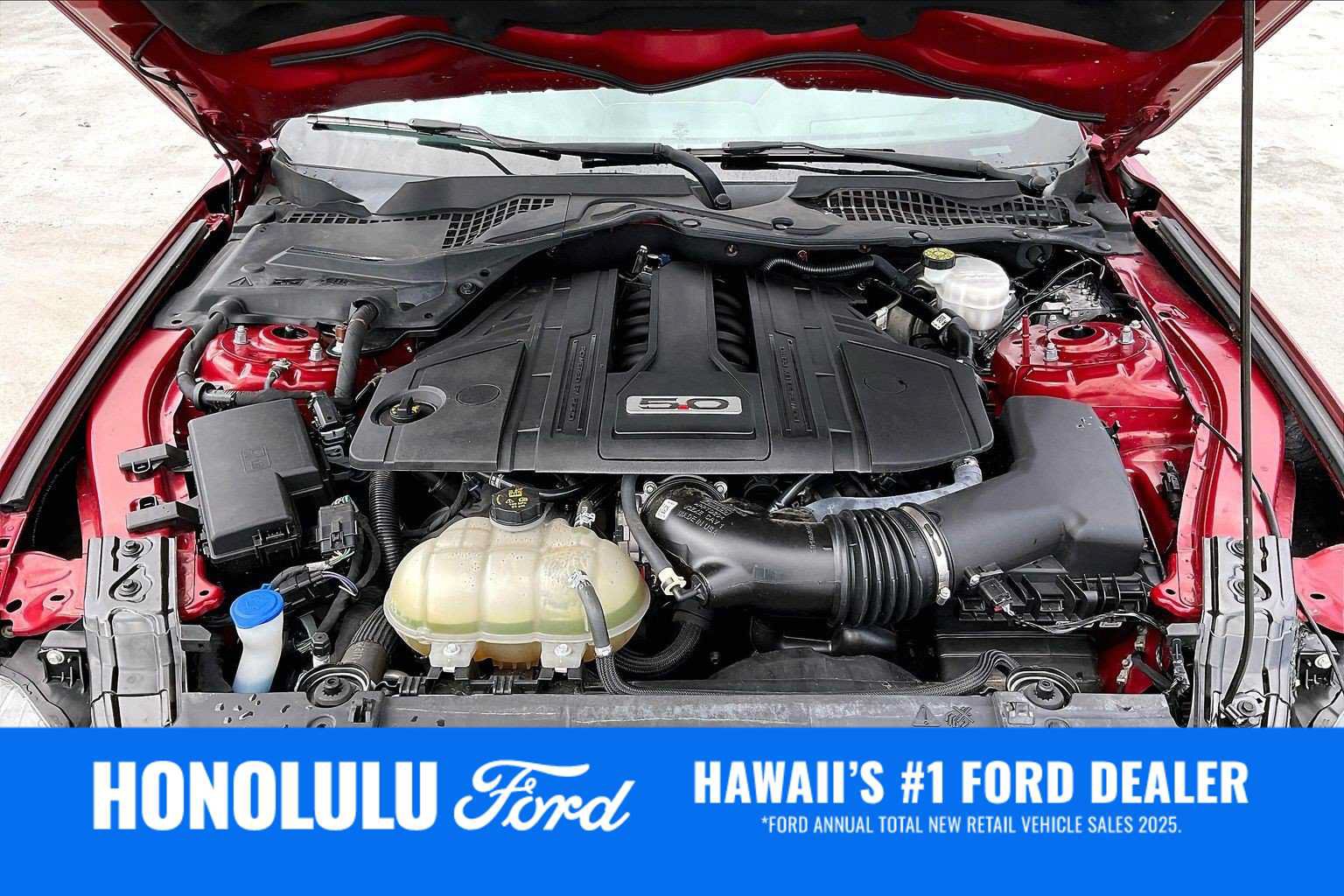 Used 2021 Ford Mustang GT Premium w/ Equipment Group 401A RWD image 9