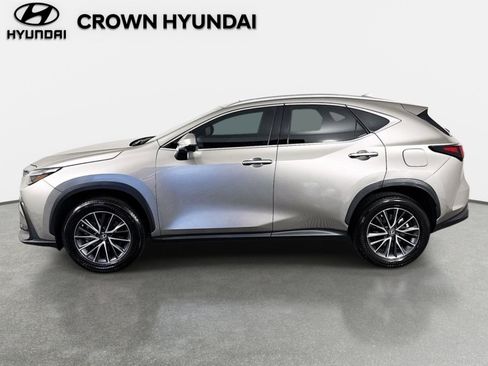 Used 2025 Lexus NX 350 AWD w/ Cold Area Package image 9