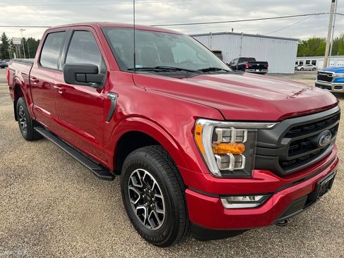 Used 2022 Ford F150 XLT w/ Equipment Group 302A High AWD/4WD image 5