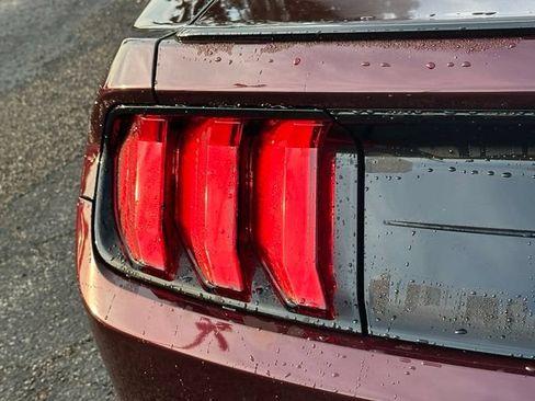 Used 2018 Ford Mustang Coupe w/ Black Accent Pkg RWD image 12