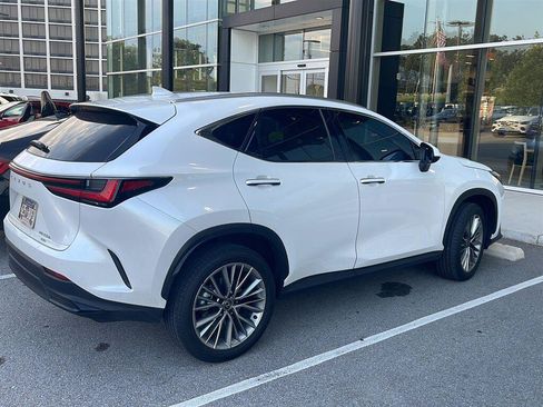 Used 2025 Lexus NX 350h AWD w/ Premium Package image 2