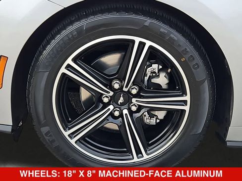 Used 2024 Ford Mustang Convertible RWD image 15