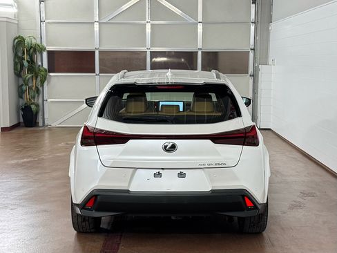 Used 2023 Lexus UX 250h Premium AWD image 4