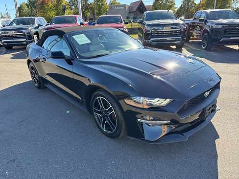 Used 2022 Ford Mustang Premium image 7