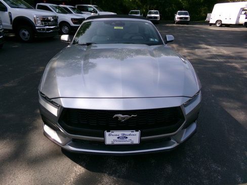 Used 2024 Ford Mustang Premium RWD image 4