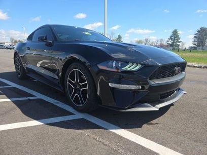 Used 2019 Ford Mustang Coupe w/ Equipment Group 101A