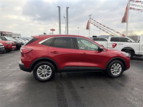 Used 2022 Ford Escape SE w/ Convenience Package image 3