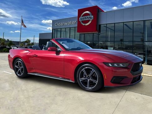 Used 2024 Ford Mustang Premium image 1