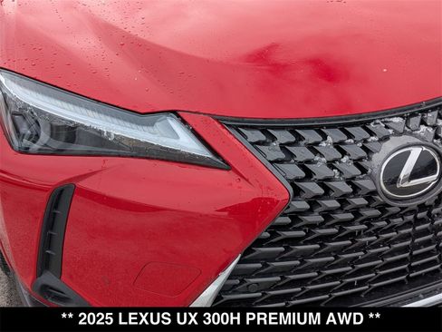 New 2025 Lexus UX 300h AWD w/ Cold Area Package image 9