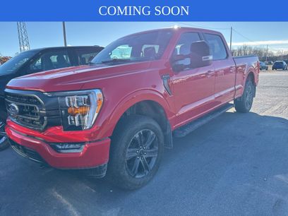 Used 2023 Ford F150 XLT w/ Equipment Group 302A High