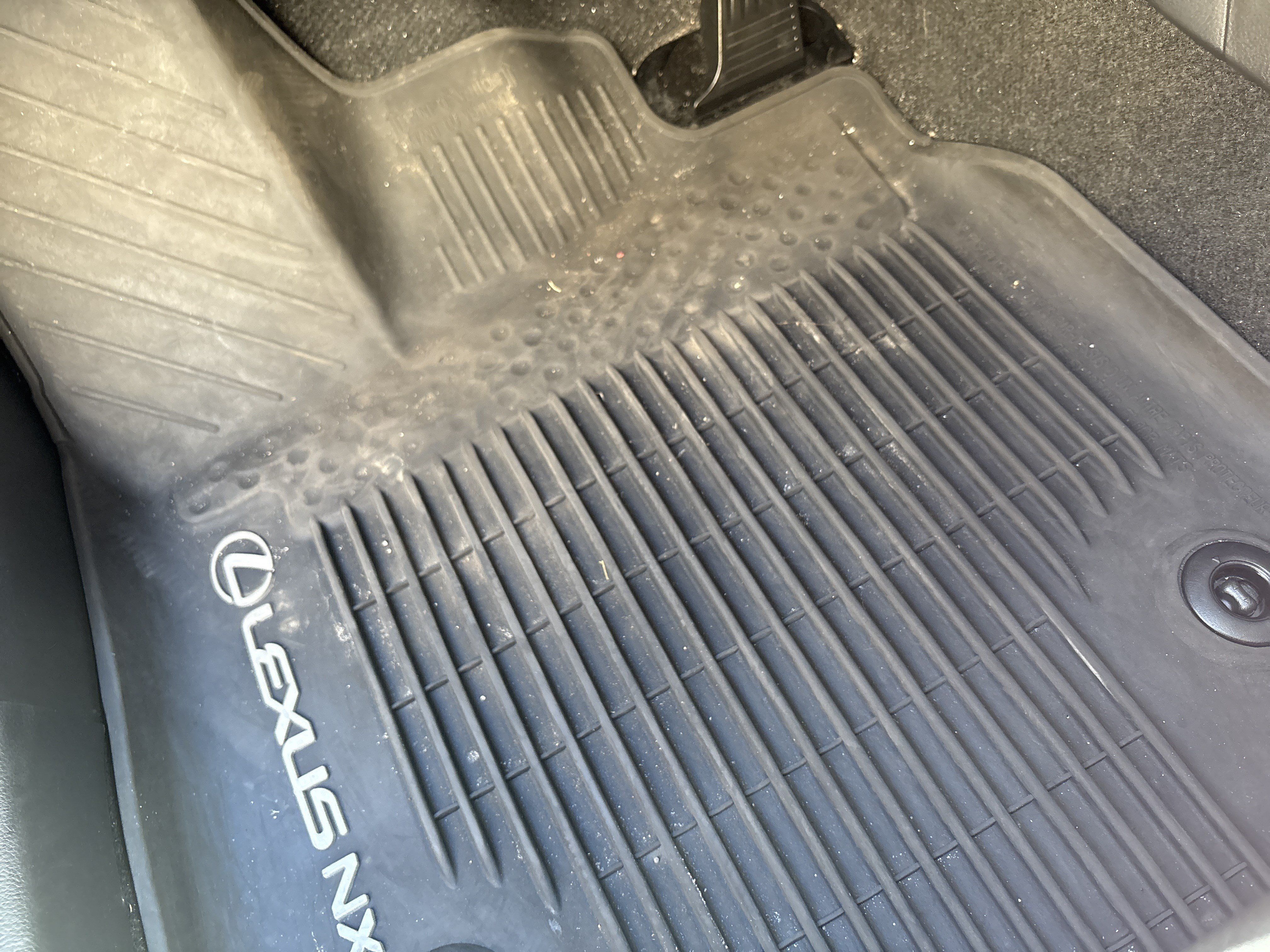 Used 2025 Lexus NX 350 AWD w/ Cold Area Package image 17