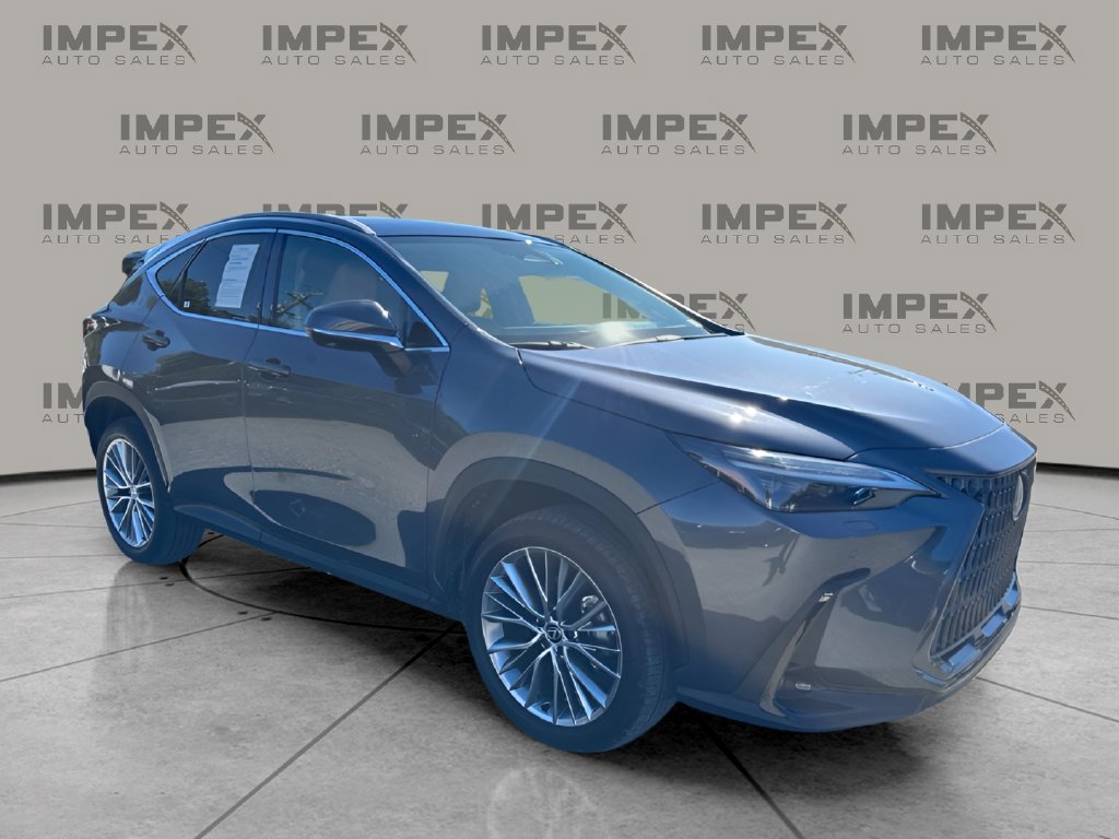 Used 2025 Lexus NX 350h AWD w/ Cold Area Package image 7