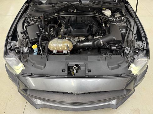 Used 2019 Ford Mustang Coupe w/ Ecoboost Performance Package RWD image 7