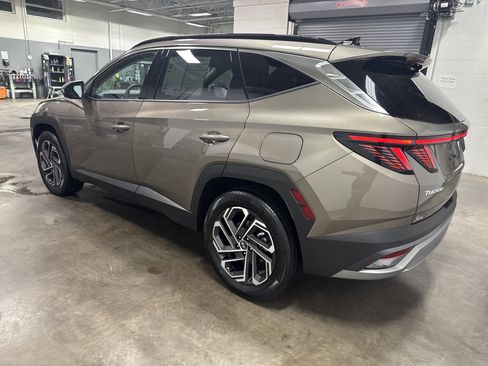 Used 2025 Hyundai Tucson Limited image 5
